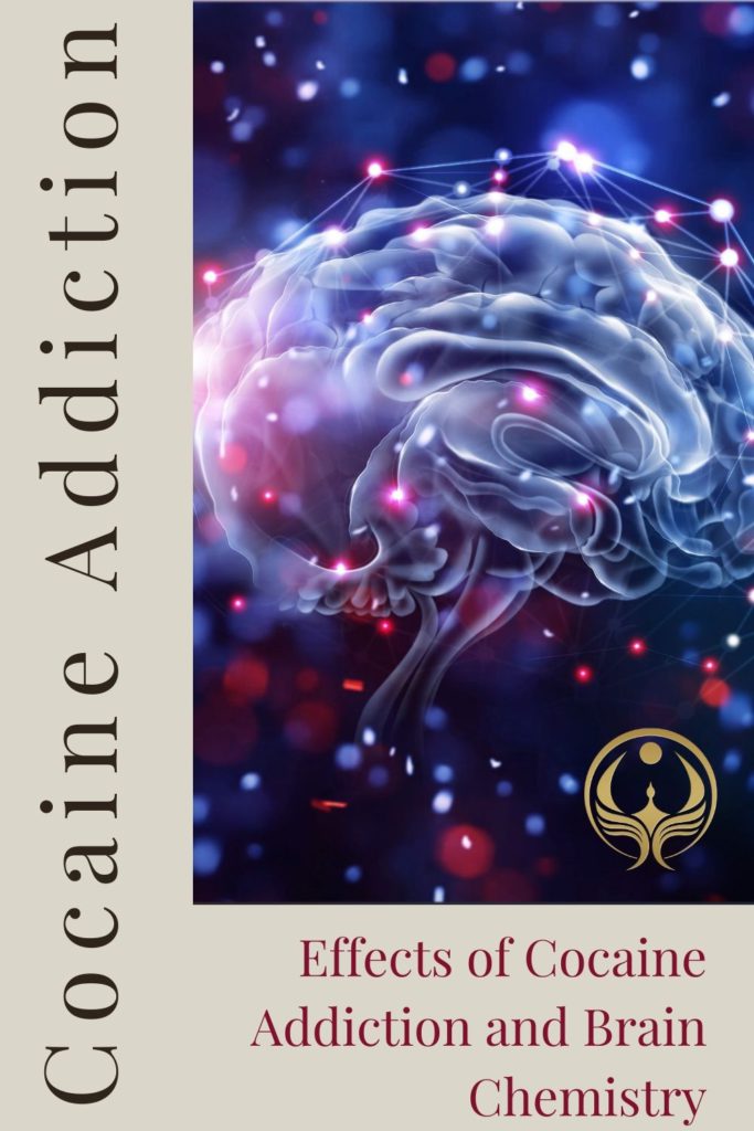 Effects of Cocaine Addiction and Brain Chemistry