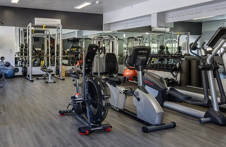 Full Gym with Personal Trainers